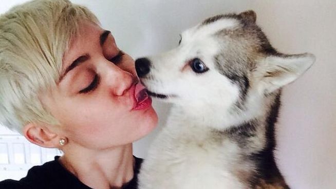 Muere-Floyd-perro-Miley-Cyrus_MDSIMA20140402_0004_11