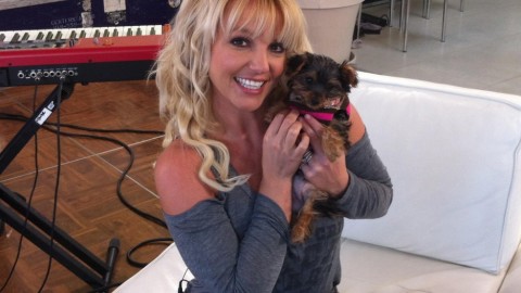 ENTREVISTAS DE BRITNEY SPEARS entrevistas de britney spears: